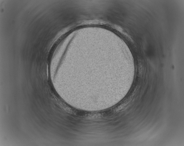 X0000072981221200608211341