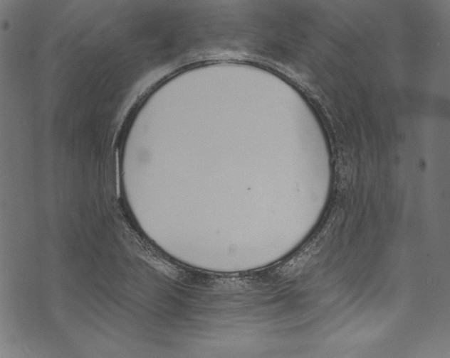 X0000072981223200608211341