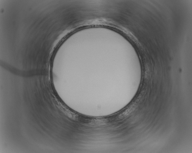 X0000072981224200608211341