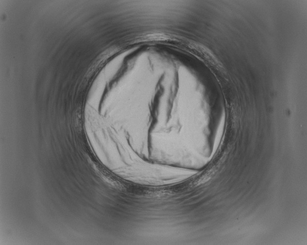 X0000072981225200608211341