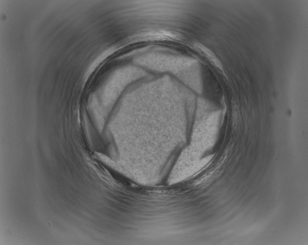 X0000072981226200608211341