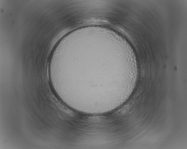 X0000072981227200608211341