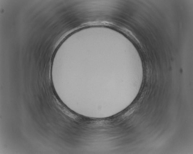 X0000072981228200608211341