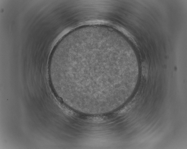 X0000072981229200608211341