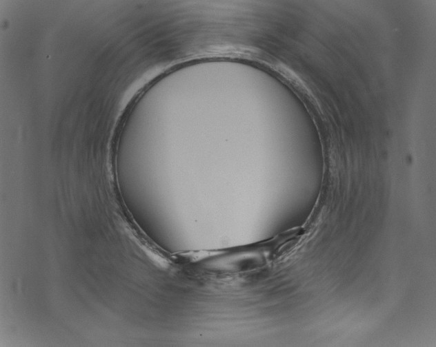 X0000072981230200608211341