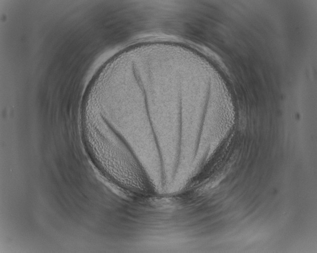 X0000072981231200608211341