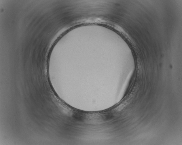 X0000072981232200608211341