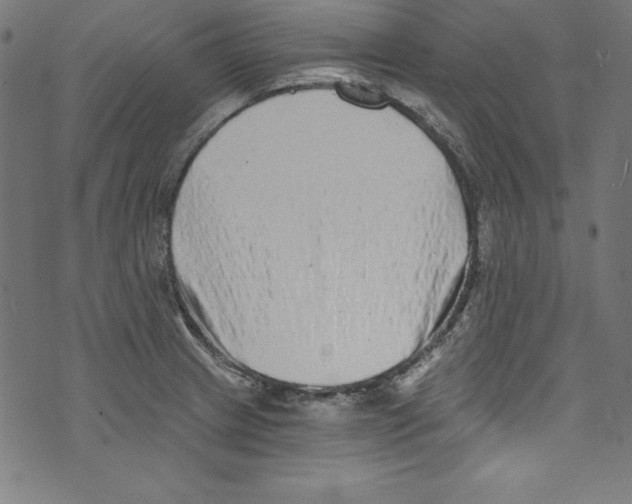 X0000072981233200608211341