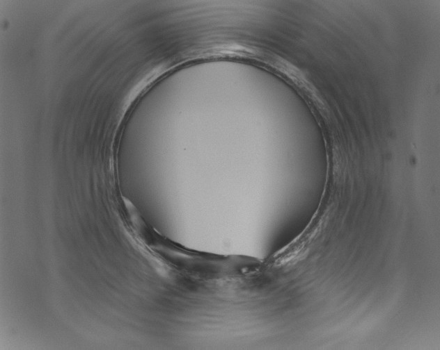 X0000072981234200608211341