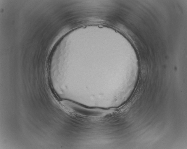 X0000072981235200608211341