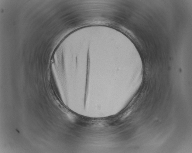 X0000072981236200608211341