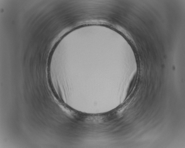 X0000072981237200608211341