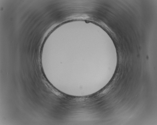 X0000072981240200608211341