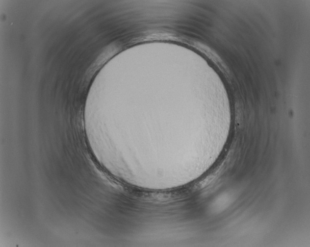 X0000072981241200608211342