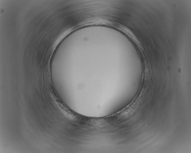 X0000072981242200608211342