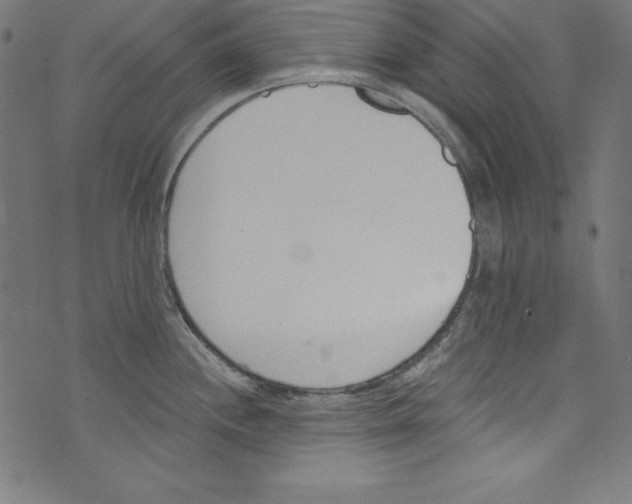 X0000072981244200608211342