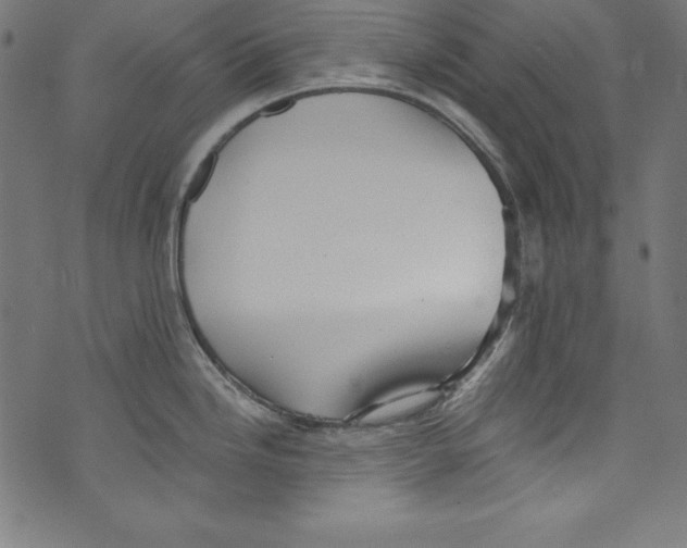 X0000072981246200608211342