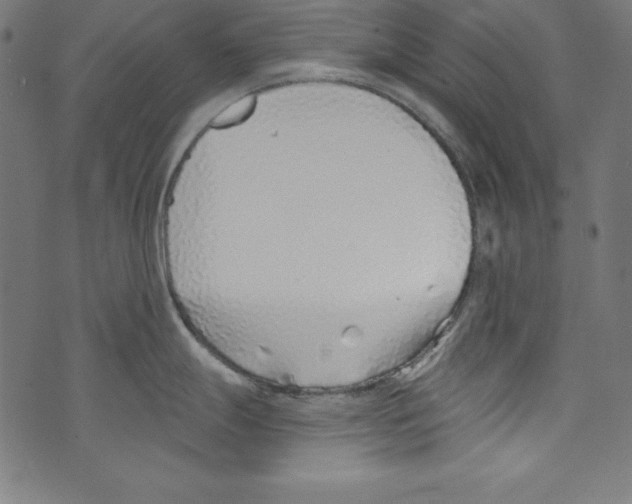 X0000072981247200608211342