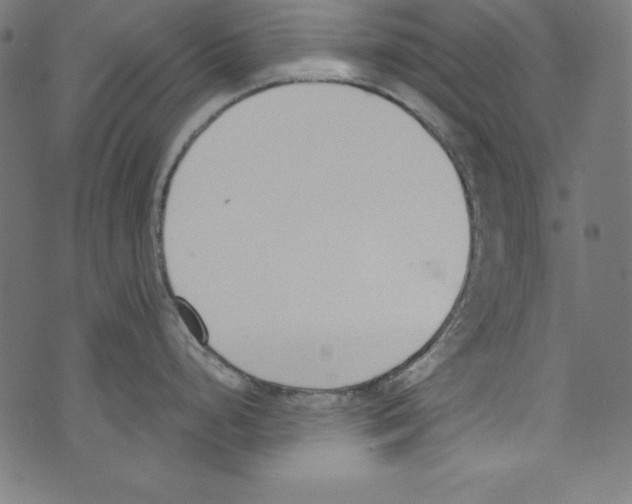 X0000072981248200608211342