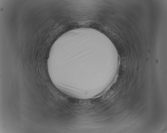 X0000072981249200608211341