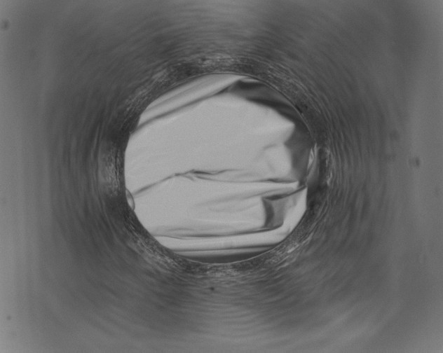 X0000072981250200608211341