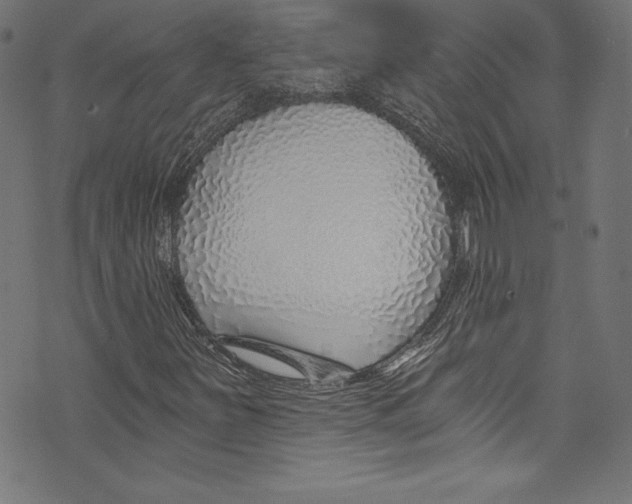 X0000072981251200608211341