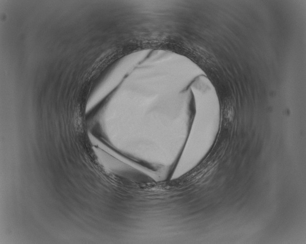 X0000072981252200608211341