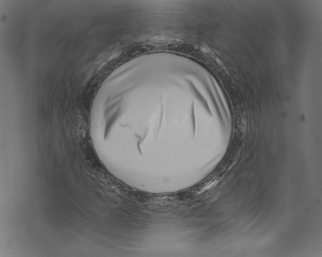 X0000072981253200608211341