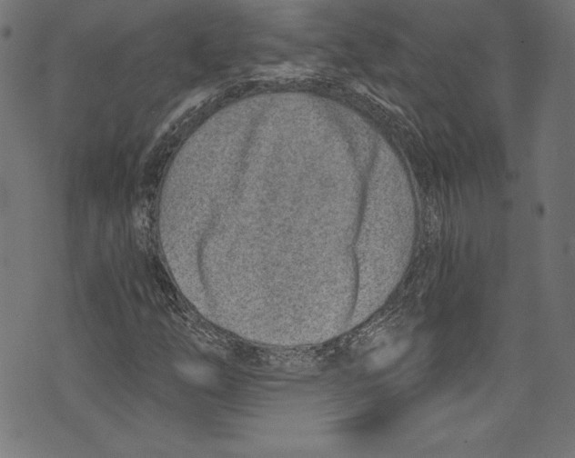 X0000072981254200608211341