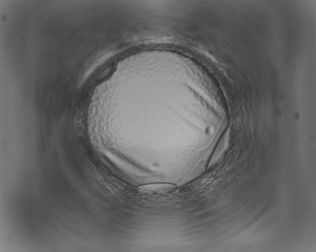 X0000072981255200608211341