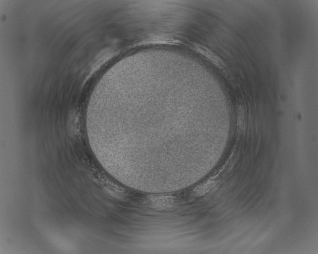 X0000072981258200608211341