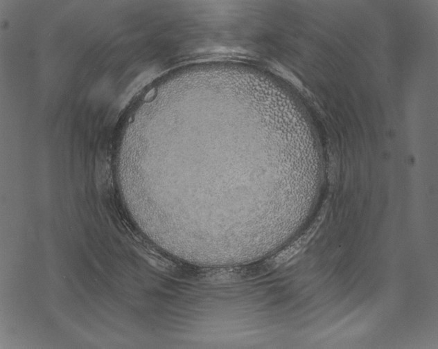 X0000072981259200608211341