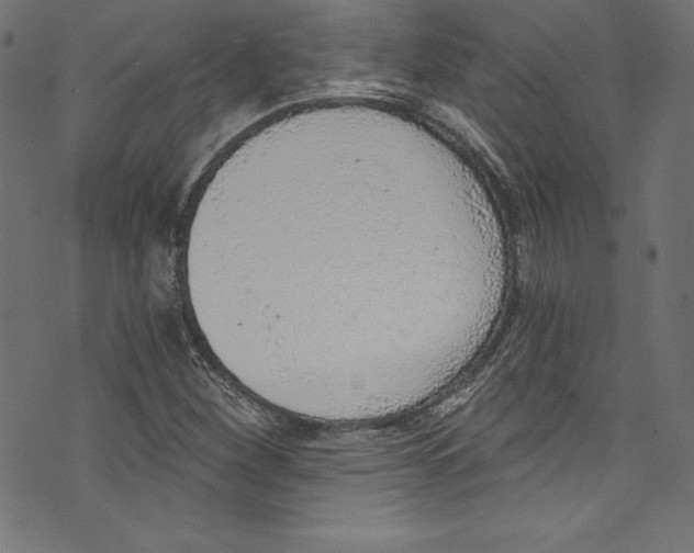 X0000072981260200608211341