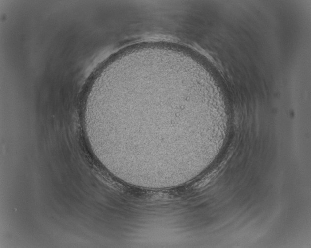 X0000072981263200608211341