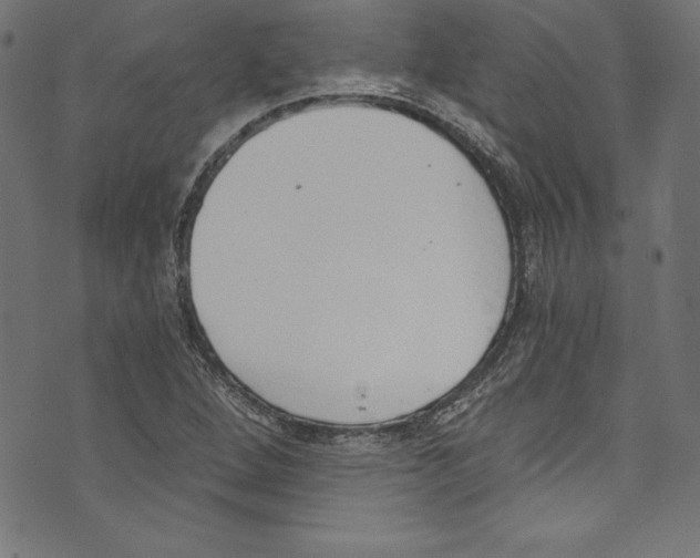 X0000072981264200608211341