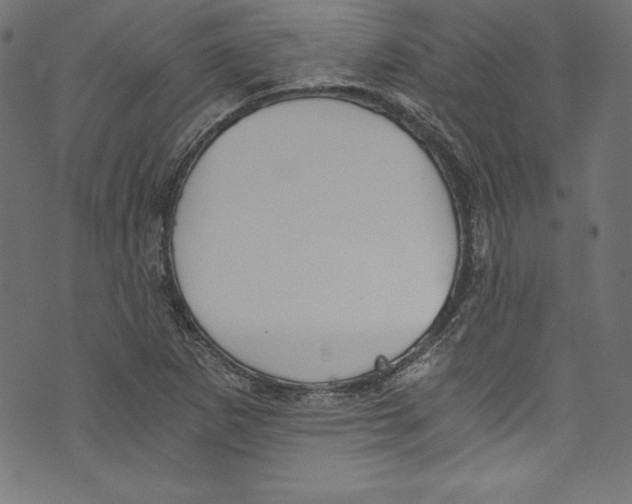 X0000072981265200608211341