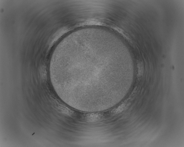 X0000072981266200608211341