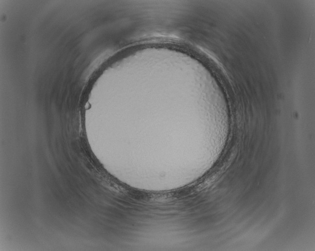 X0000072981267200608211341