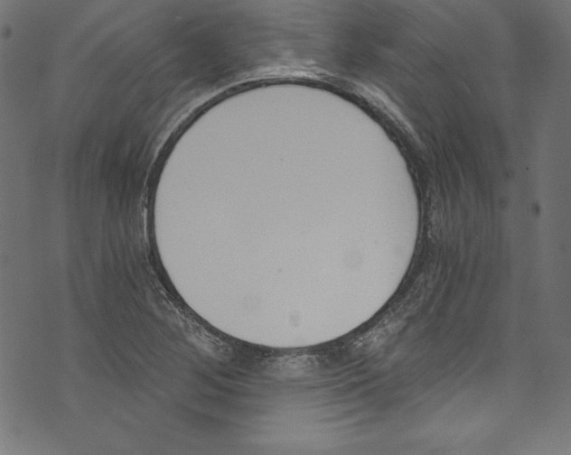 X0000072981268200608211341