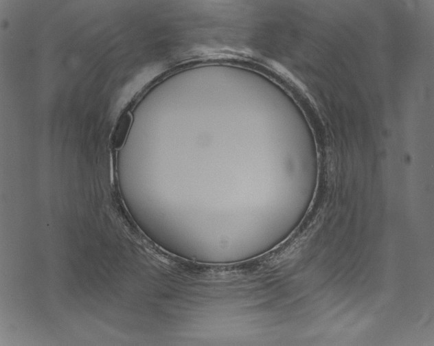 X0000072981269200608211341