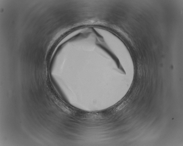 X0000072981270200608211341