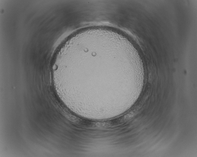 X0000072981271200608211340