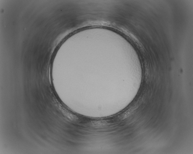 X0000072981272200608211340