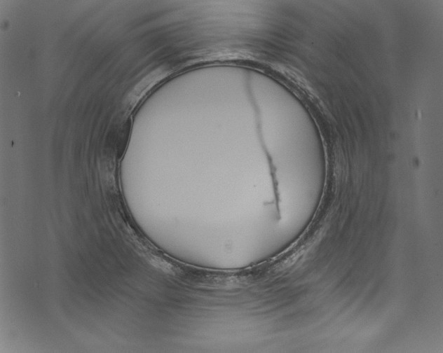 X0000072981273200608211340