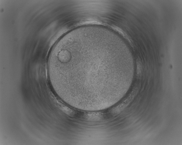 X0000072981274200608211340