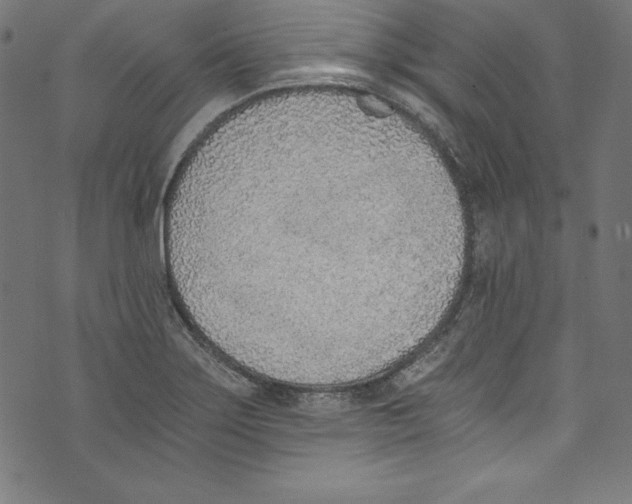 X0000072981275200608211340