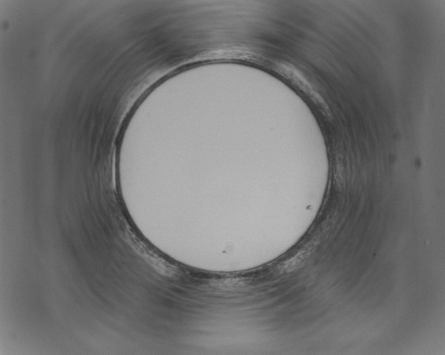 X0000072981276200608211340