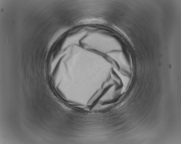 X0000072981277200608211340