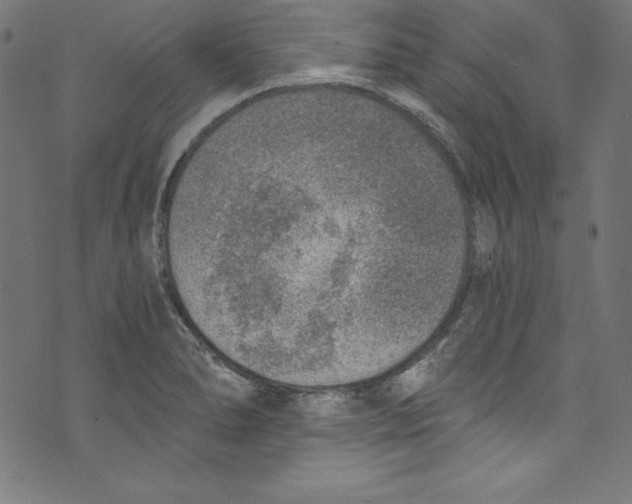 X0000072981278200608211340