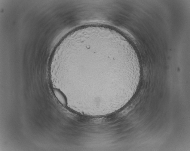 X0000072981279200608211340